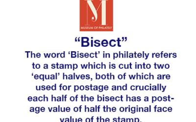 Jargon Buster – Word of the Month: “Bisect”